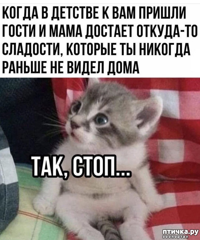 ���� 1: ���, ����