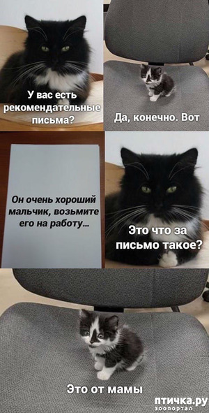 ����: ������������� �� ������ ����� ������