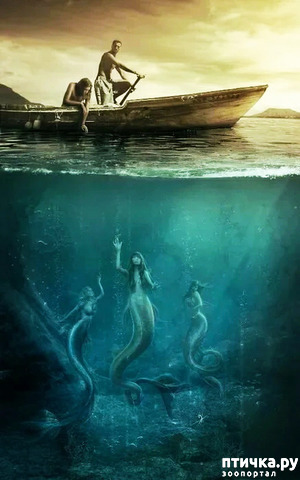 ����: ��������� ������