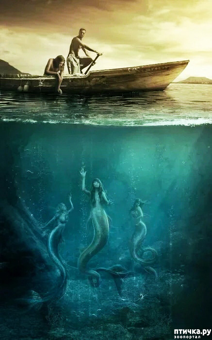 ���� 1: ��������� ������