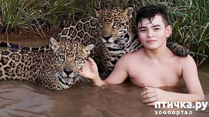 ����: ����������, �� ����.