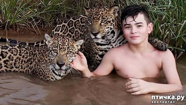 ���� 1: ����������, �� ����.