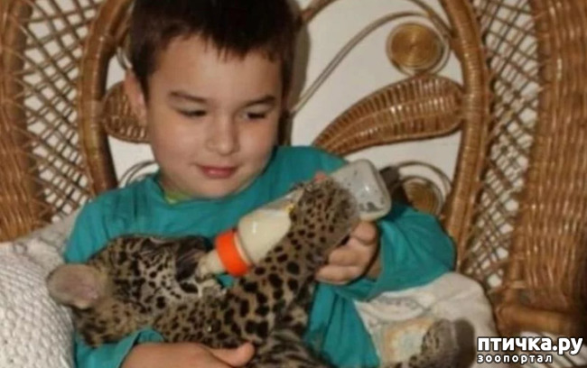 ���� 2: ����������, �� ����.