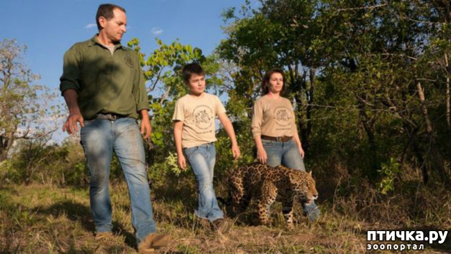 ���� 3: ����������, �� ����.