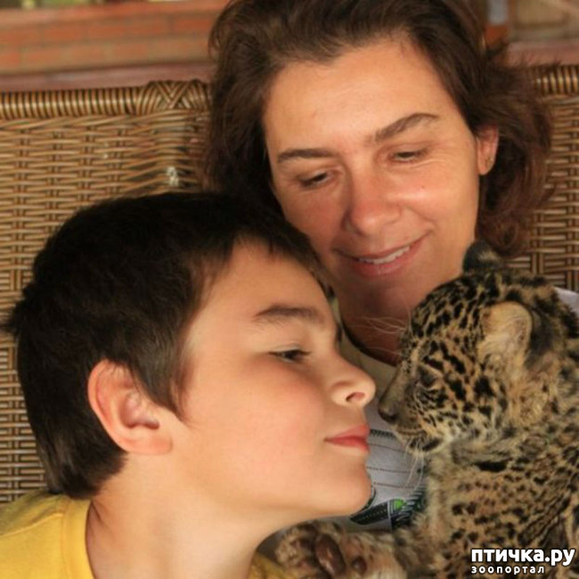 ���� 5: ����������, �� ����.