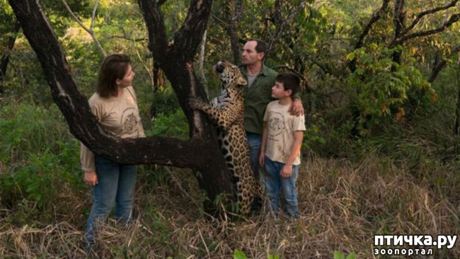 ���� 6: ����������, �� ����.