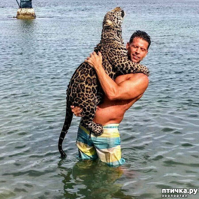 ���� 7: ����������, �� ����.