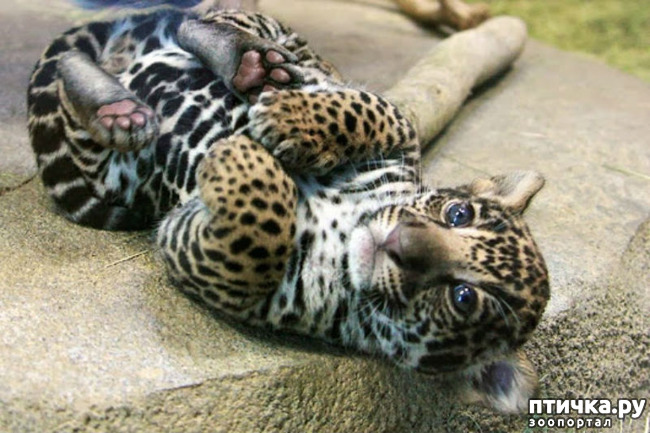 ���� 10: ����������, �� ����.