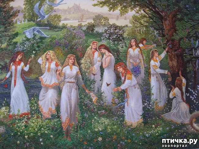 ���� 3: ��������� ������