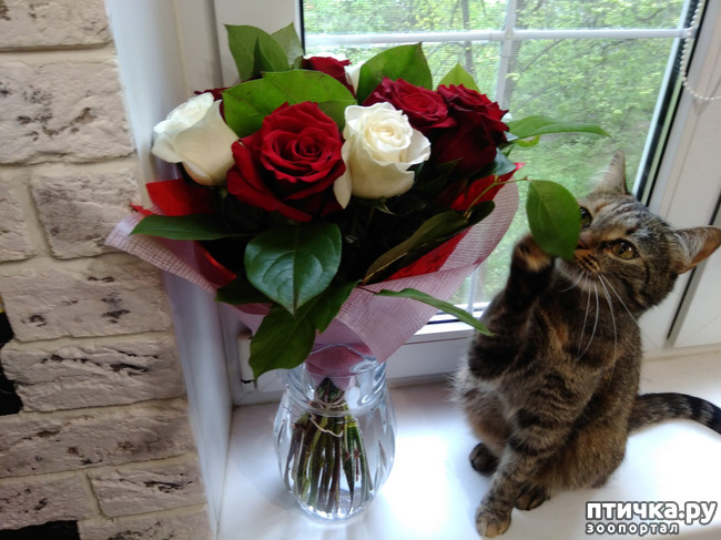 ���� 1: ������.