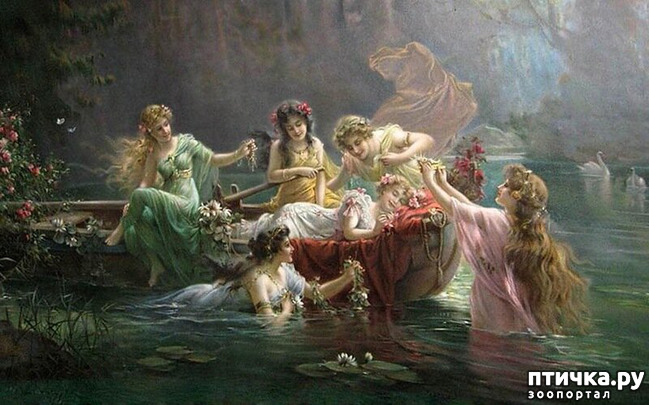 ���� 4: ��������� ������