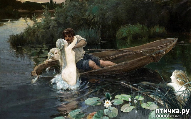 ���� 5: ��������� ������