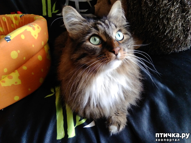 ���� 2: ������.