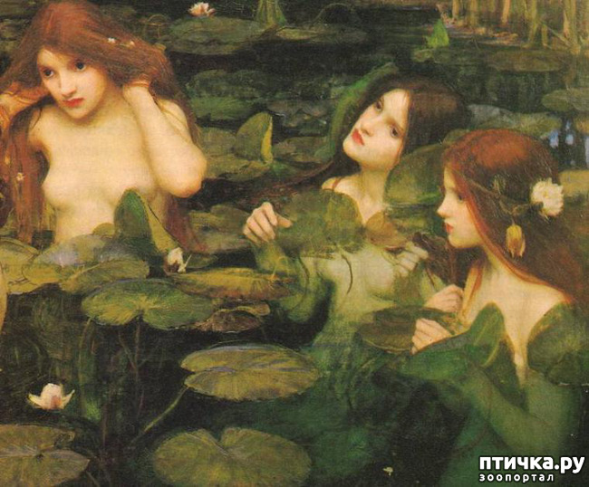 ���� 6: ��������� ������