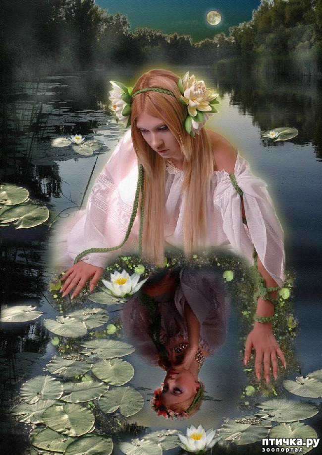 ���� 7: ��������� ������