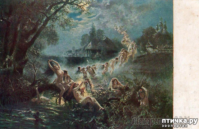 ���� 8: ��������� ������