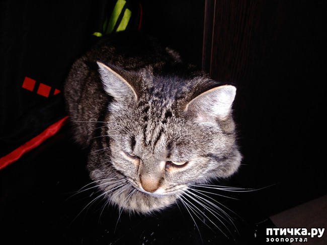 ���� 3: ������.