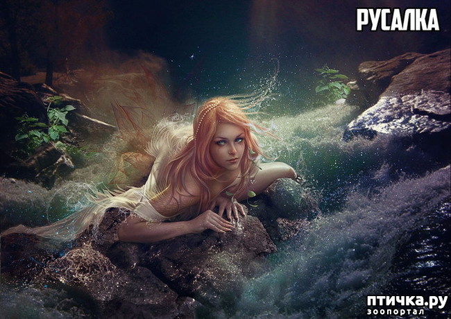 ���� 13: ��������� ������