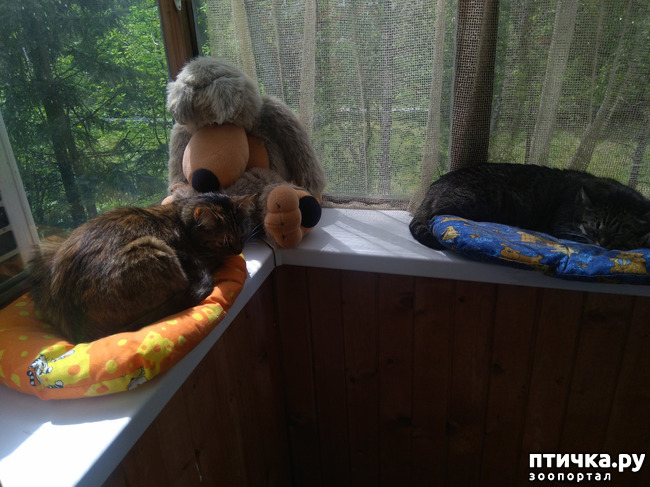 ���� 4: ������.