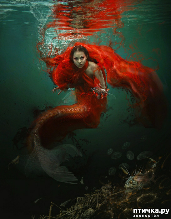 ���� 12: ��������� ������