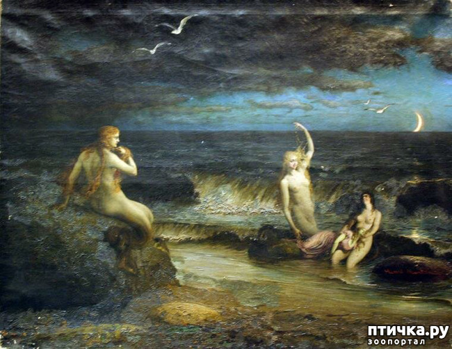 ���� 9: ��������� ������