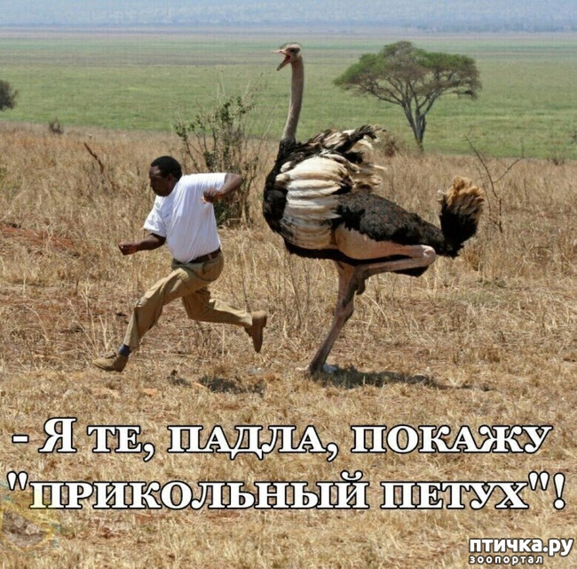 ���� 1: �� ������ �� �� ��� ���� ������ � ����.