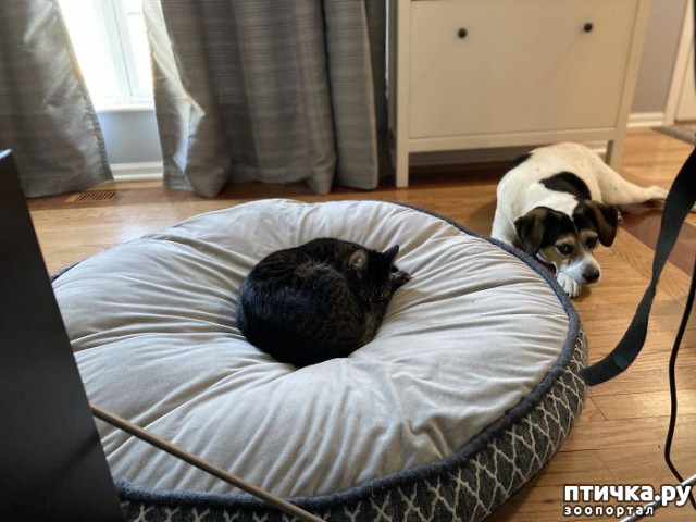 ���� 1: ������ ��������, ������� ��������� ����� �����