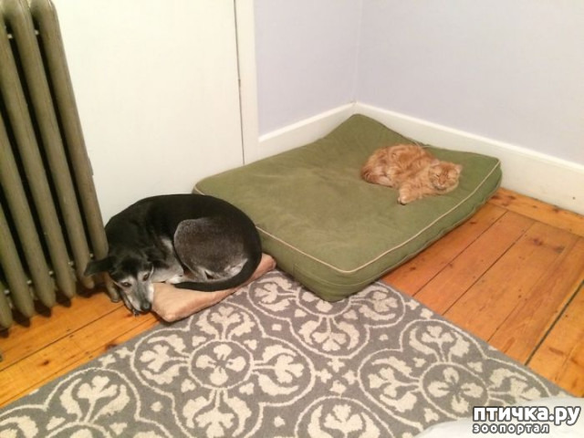 ���� 2: ������ ��������, ������� ��������� ����� �����