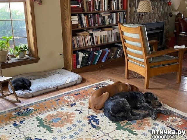 ���� 4: ������ ��������, ������� ��������� ����� �����