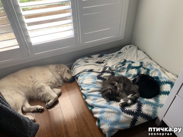 ���� 5: ������ ��������, ������� ��������� ����� �����