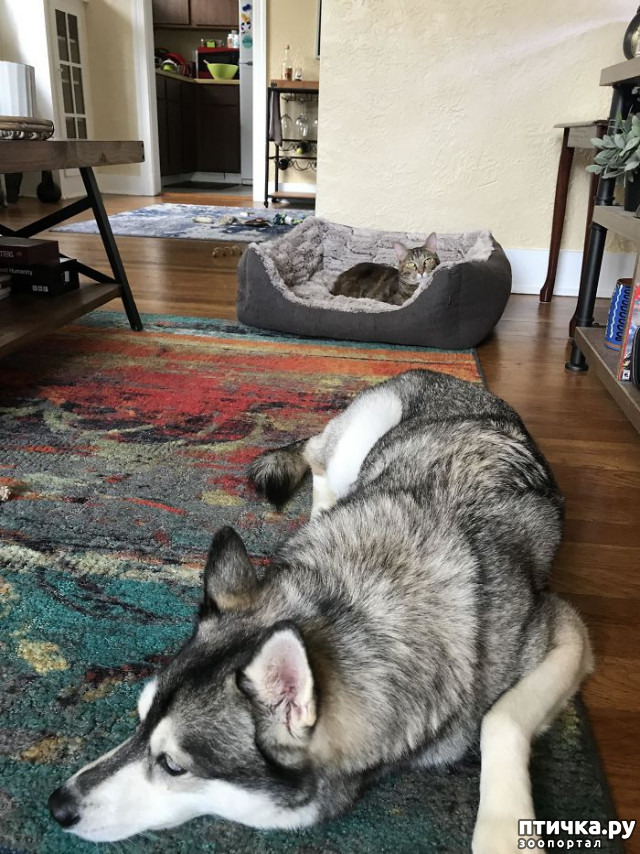 ���� 6: ������ ��������, ������� ��������� ����� �����