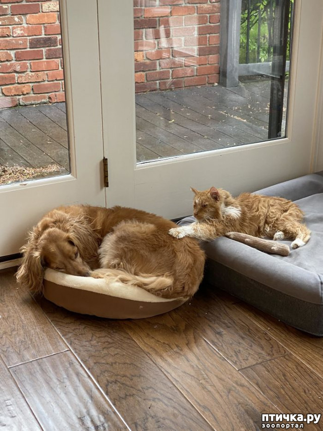 ���� 7: ������ ��������, ������� ��������� ����� �����