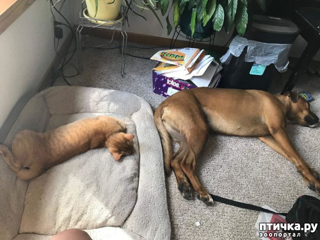 ���� 8: ������ ��������, ������� ��������� ����� �����