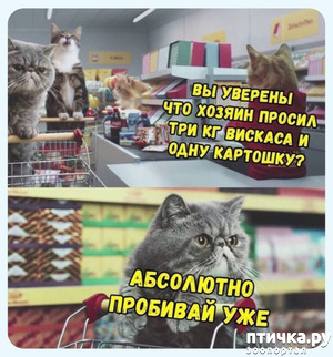 ����: ������������� �����. � ����� �� ������!