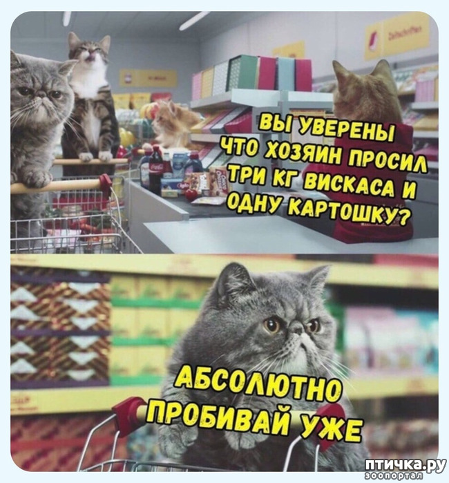 ���� 1: ������������� �����. � ����� �� ������!