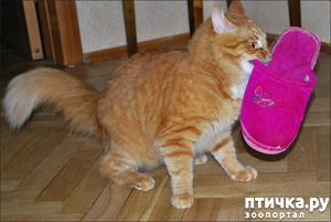 ����: ������� ������ ��������...