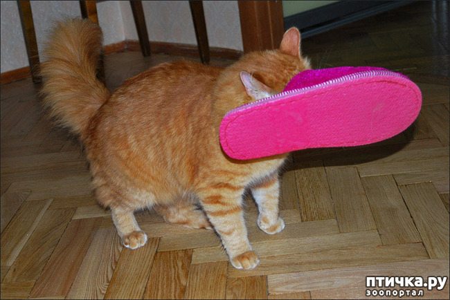 ���� 2: ������� ������ ��������...