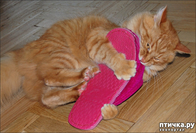 ���� 3: ������� ������ ��������...