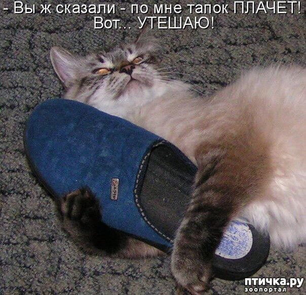 ���� 5: ������� ������ ��������...