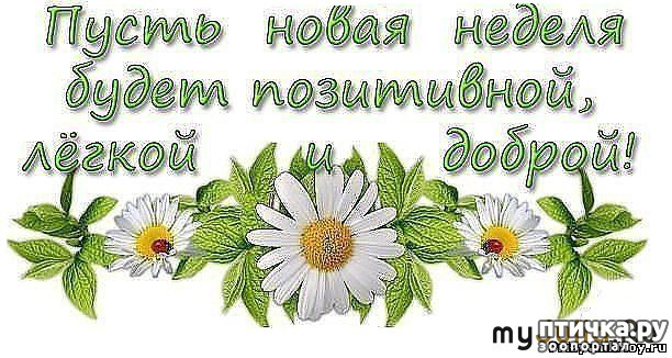 ���� 6: ������� ������ ��������...