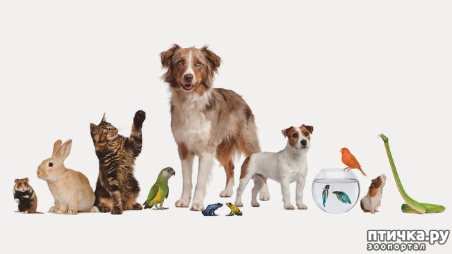 ���� 1: ���� ������ �������� ��������