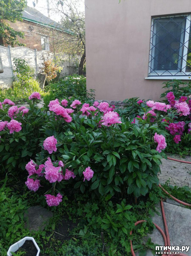 ���� 4: � ����� �����-3