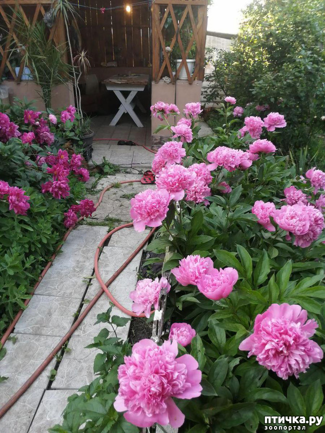 ���� 5: � ����� �����-3