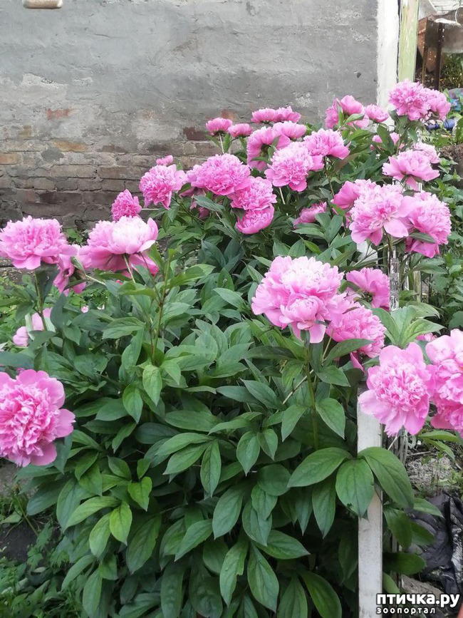 ���� 6: � ����� �����-3