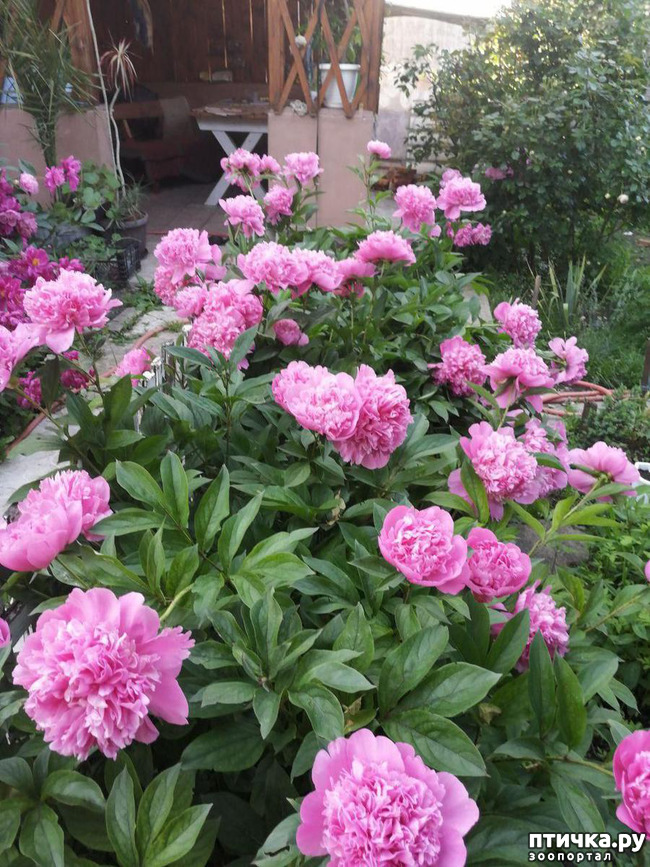 ���� 3: � ����� �����-3