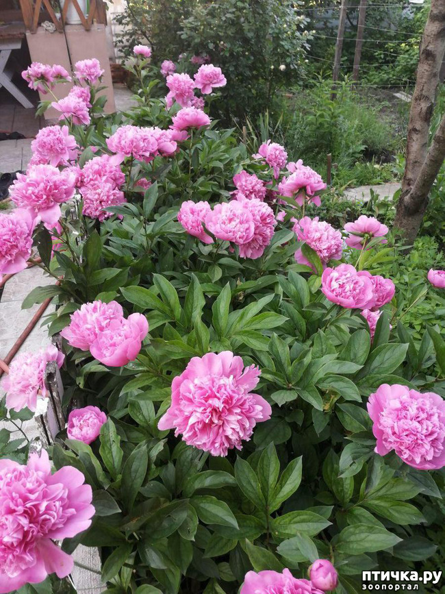 ���� 10: � ����� �����-3