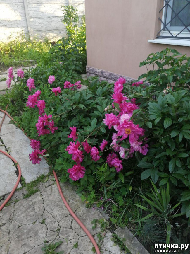 ���� 7: � ����� �����-3