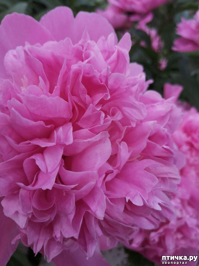 ���� 8: � ����� �����-3