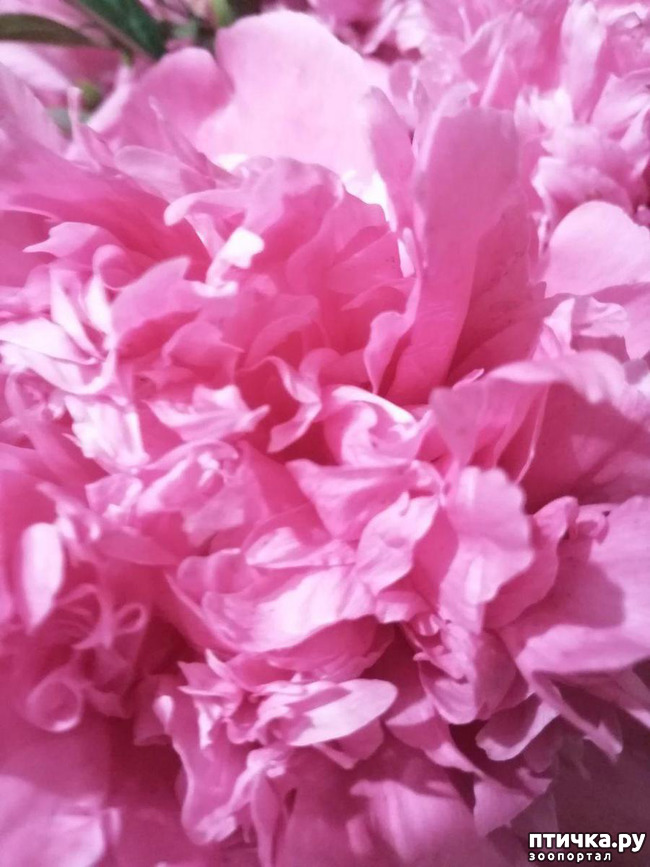 ���� 2: � ����� �����-3