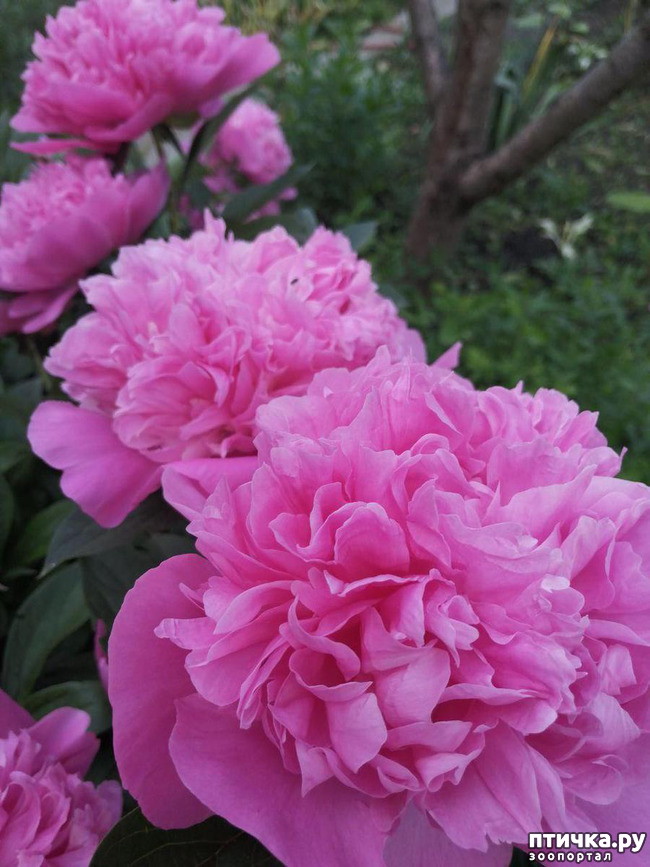 ���� 1: � ����� �����-3